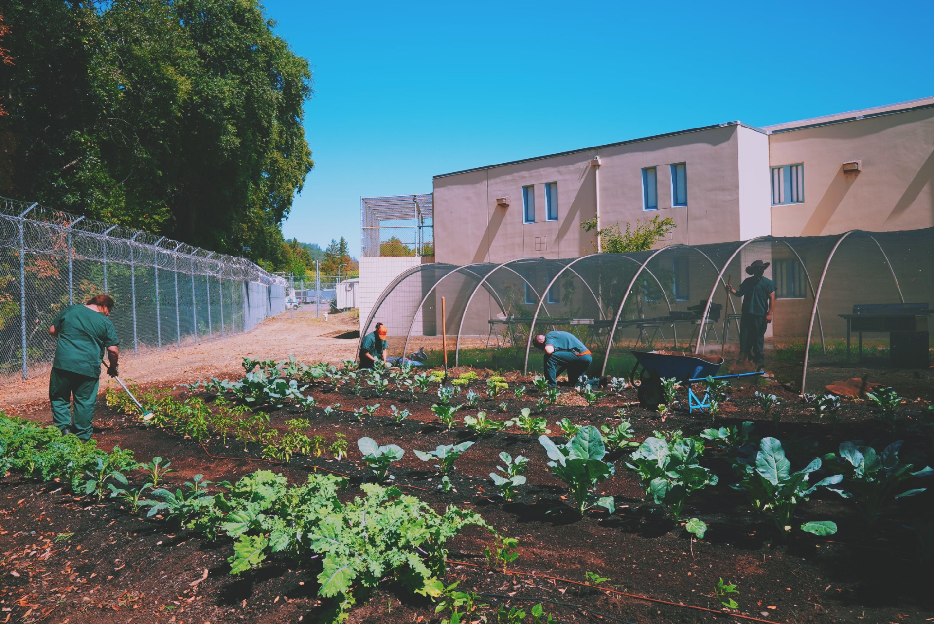 Unconditional Freedom program garden at a correctional facility